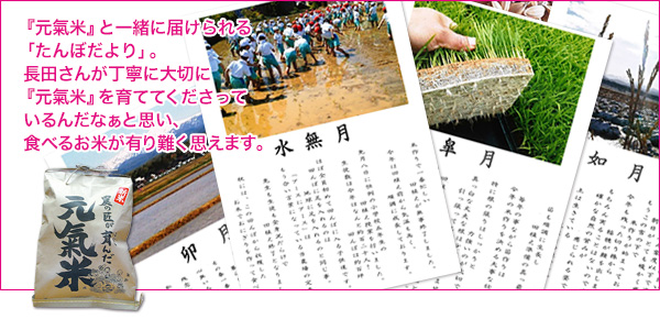 『元氣米』と一緒に届けられる「たんぼだより」。長田さんが丁寧に大切に『元氣米』を育ててくださっているんだなぁと思い、食べるお米が有り難く思えます。