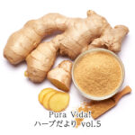 Vol5. ジンジャーブレンドのハーブティーで多岐にわたる嬉しい効果を。