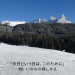 #8 いのちの移しかえ