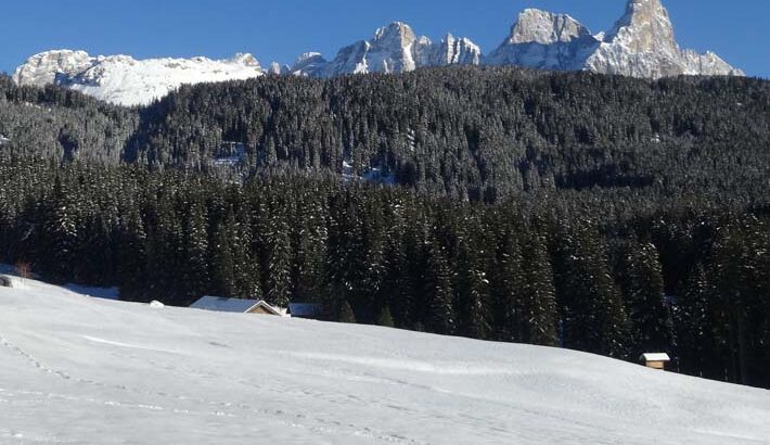 #8 いのちの移しかえ