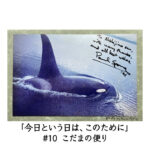 #10 こだまの便り